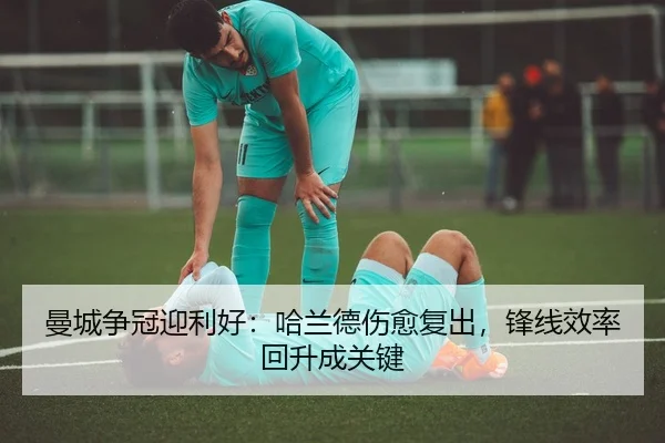 man-cheng-zheng-guan-ying-li-hao-ha-lan-de-shang-yu-fu-chu-feng-xian-xiao-lv-hui-sheng-cheng-guan-jian-3-939.jpg