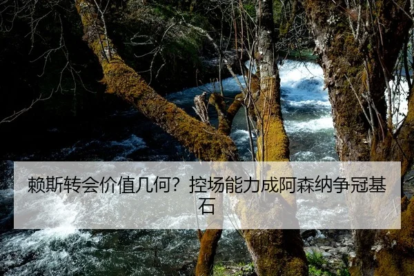 赖斯转会价值几何？控场能力成阿森纳争冠基石