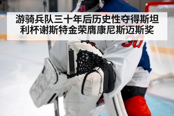 hockey goalie save